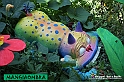 VBS_7110 - Mondo Babonzo